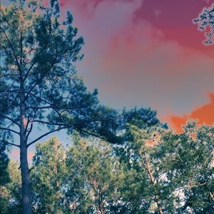 Meet your Posher, Jorge